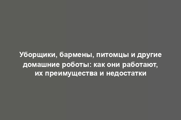 Уборщики, бармены, питомцы и другие домашние роботы: как они работают, их преимущества и недостатки
