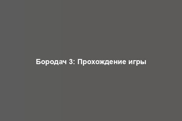 Бородач 3: Прохождение игры